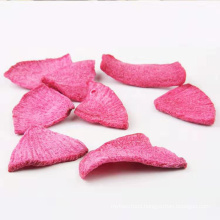 Hot Sale Vegetable Snacks Vacuum Fried Red Radish